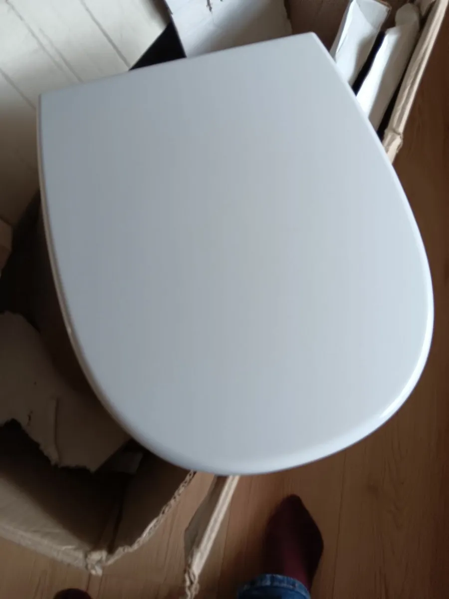 Brand new toilet - Image 4