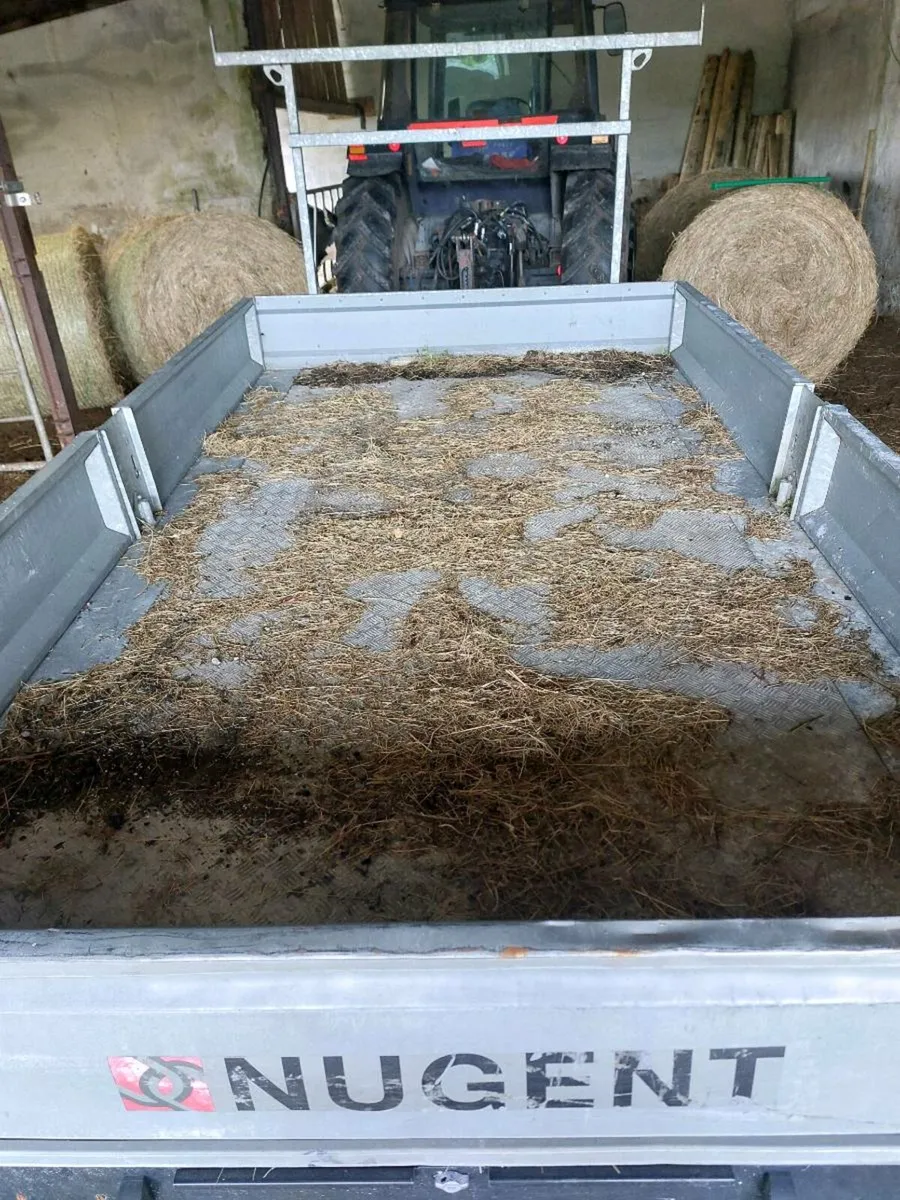 Nugent trailer - Image 3