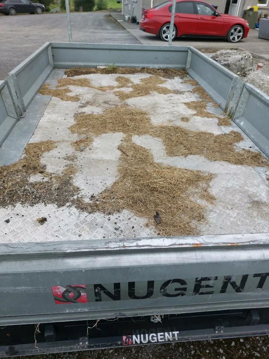 Nugent trailer - Image 4