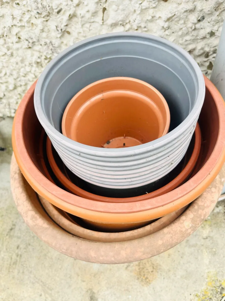 Pots for flowers - Image 1