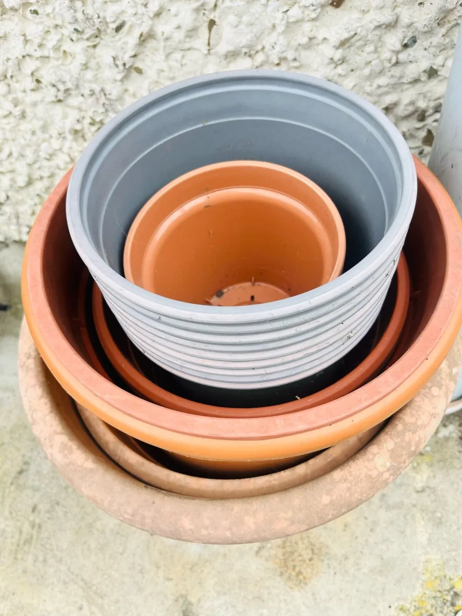 Pots for flowers - Image 3