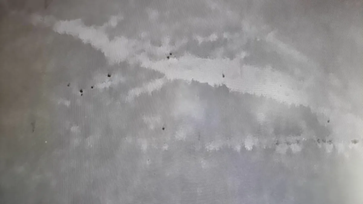 Deer Herd Analysis using Thermal Drone - Image 2