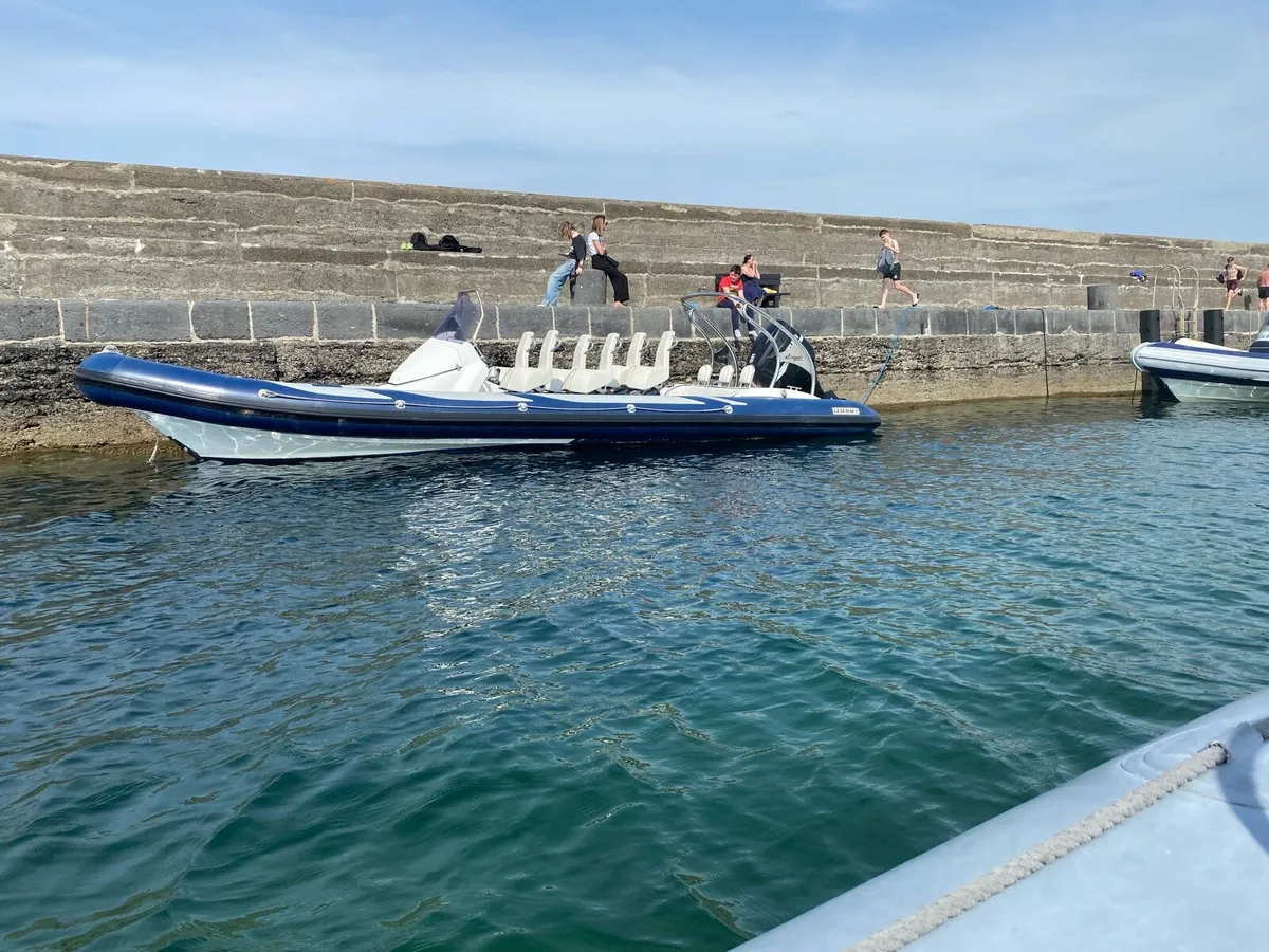 End of season reduction 9M RIB - Image 1