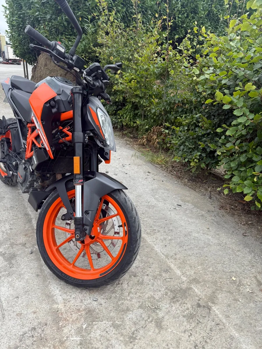 KTM Duke 125 2022 - Image 3
