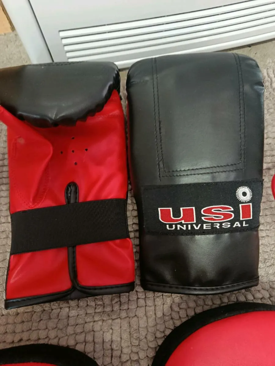 Punching bag bundle - Image 3