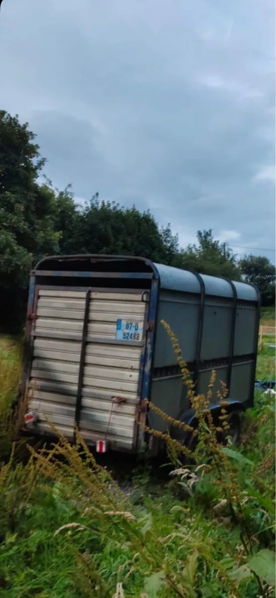 Cattle box - Image 4