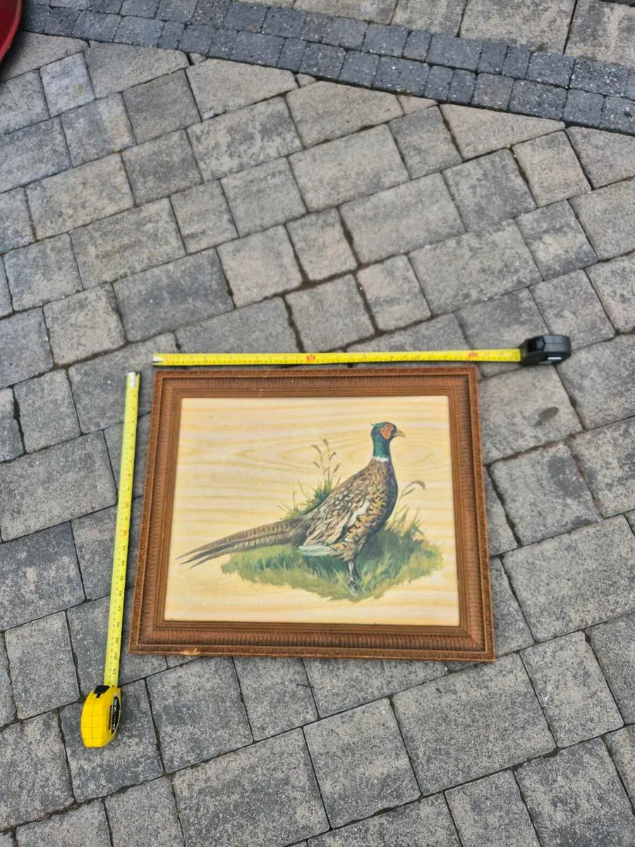 Framed Prints - Image 2