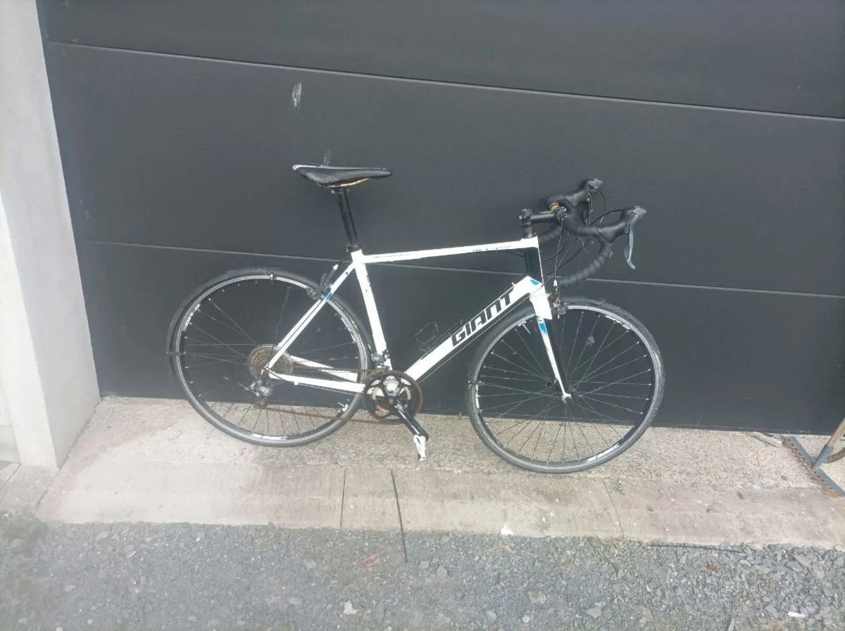 Giant defy
