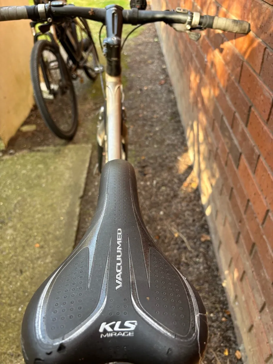 Cycle for Sell - Image 4