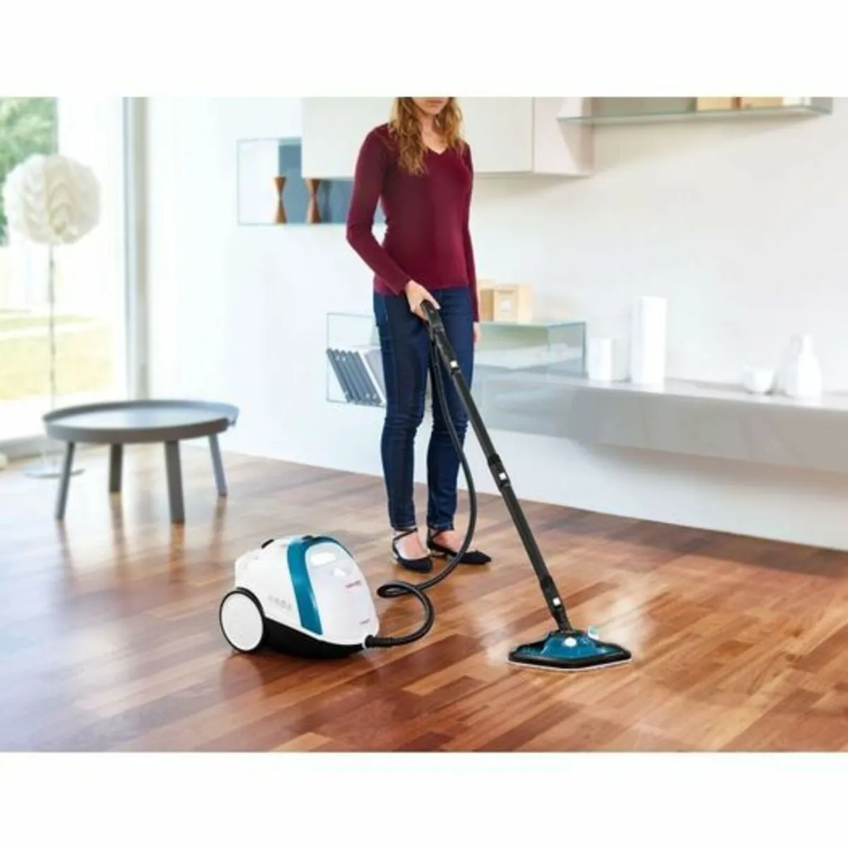 Steam Cleaner - Image 2