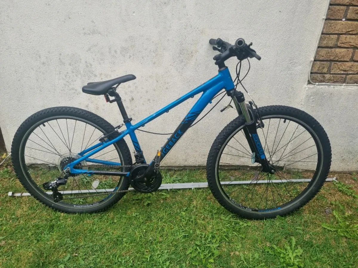 Kids mountain bike - Image 1