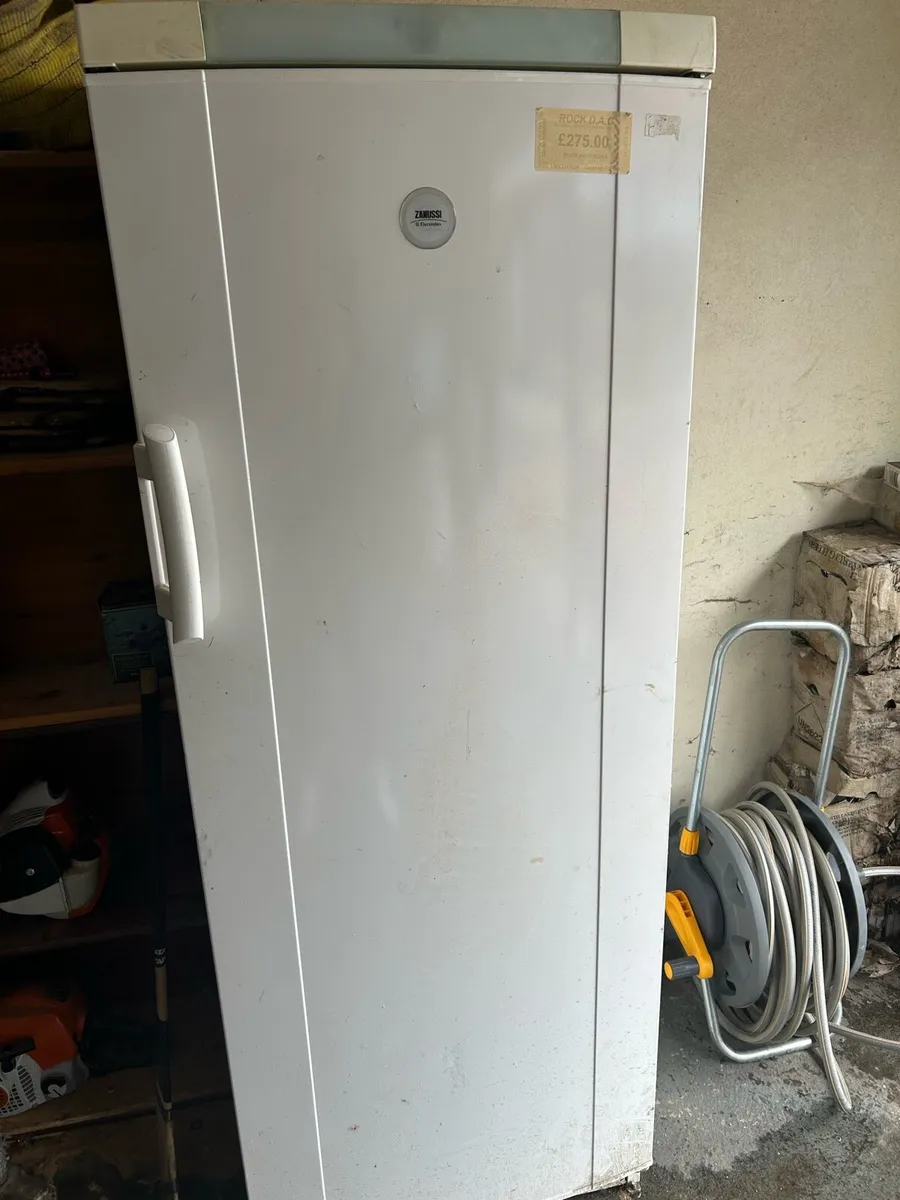 Zanussi Fridge - Image 1