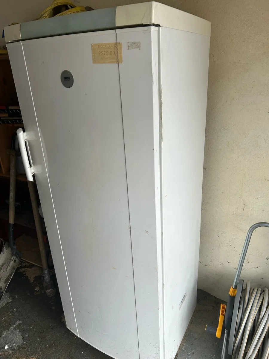 Zanussi Fridge - Image 3