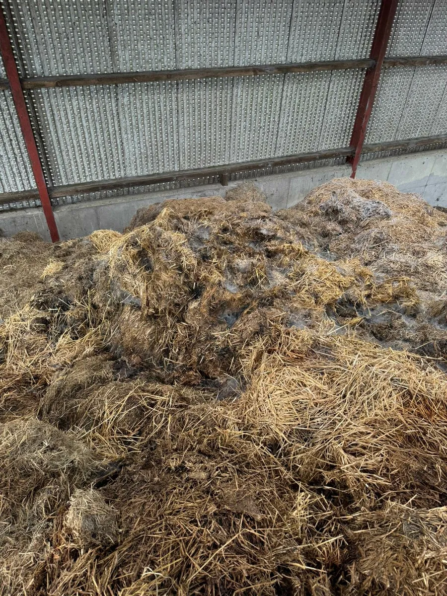 FREE SHED OF MANURE - Image 2