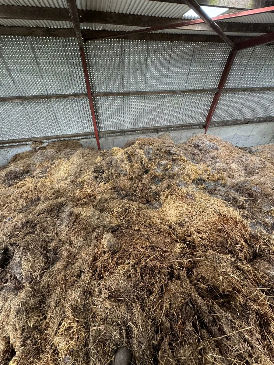 FREE SHED OF MANURE - Image 3