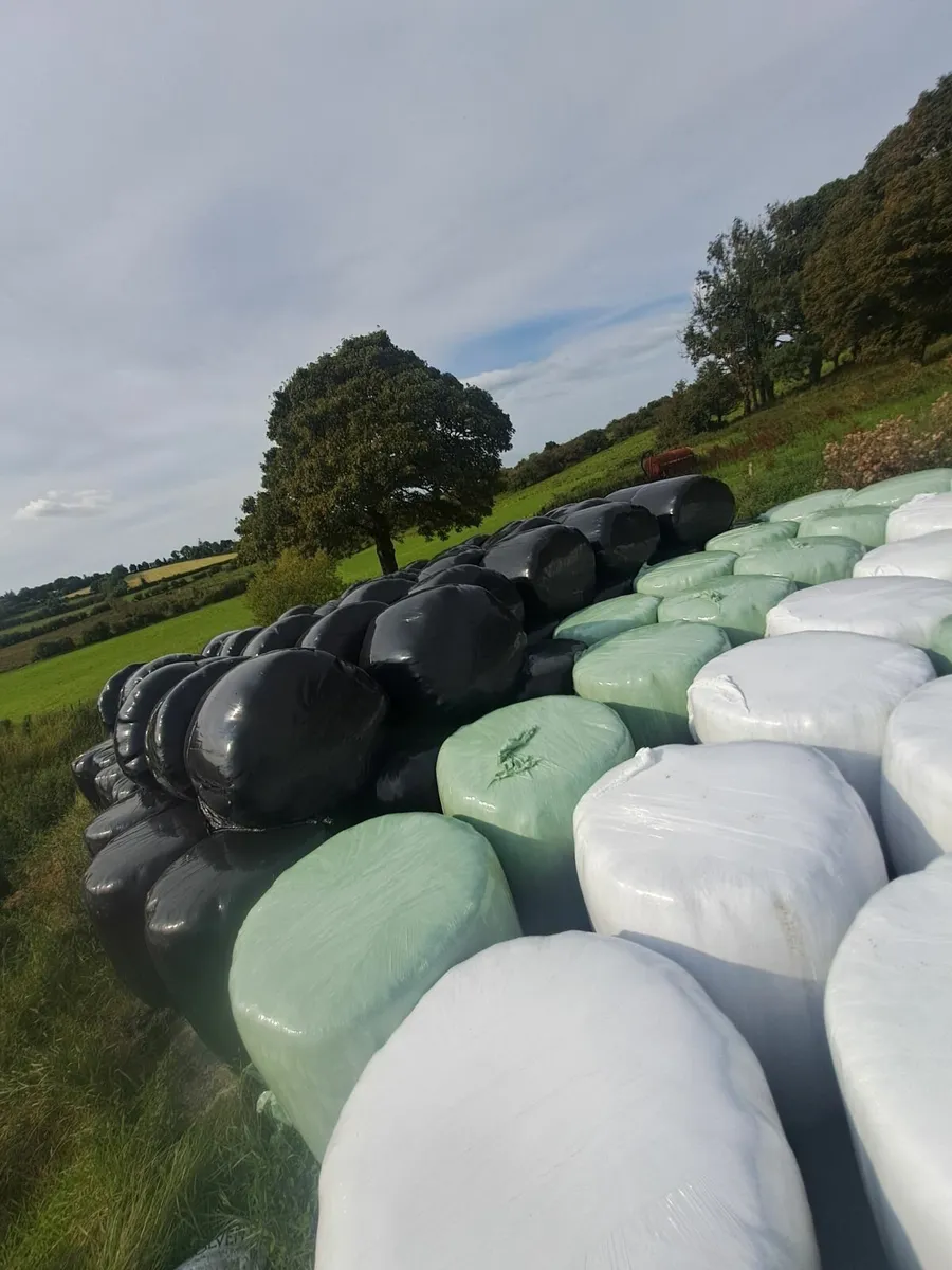 Silage bales - Image 2