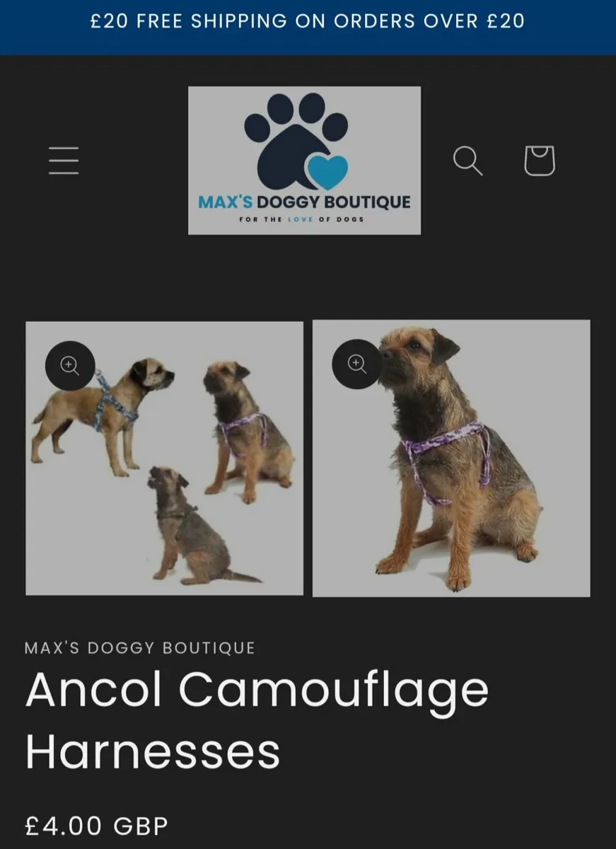 Dog accessories - Image 2