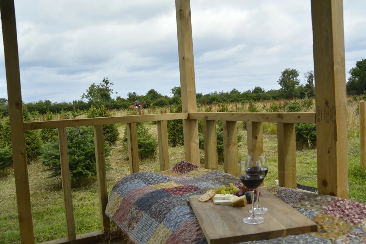 Stunning Holiday Cabin - Image 4