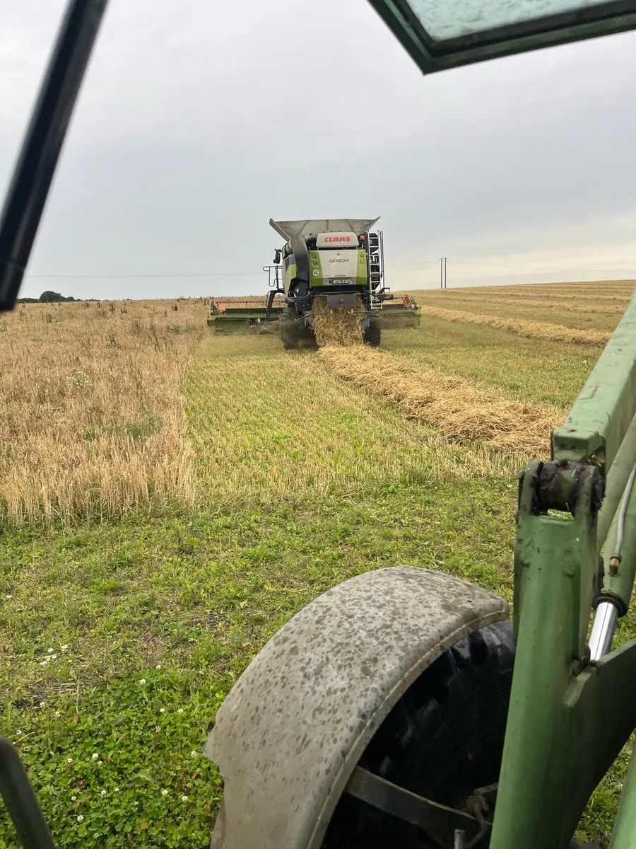 Organic Barley & Peas combi crop - Image 4