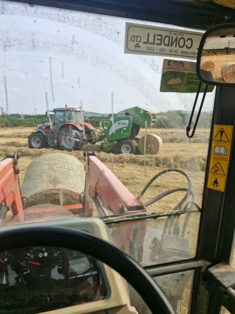 Hay