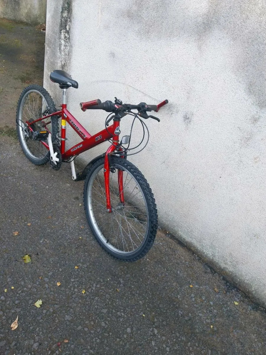 Boys mountain bike - Image 2