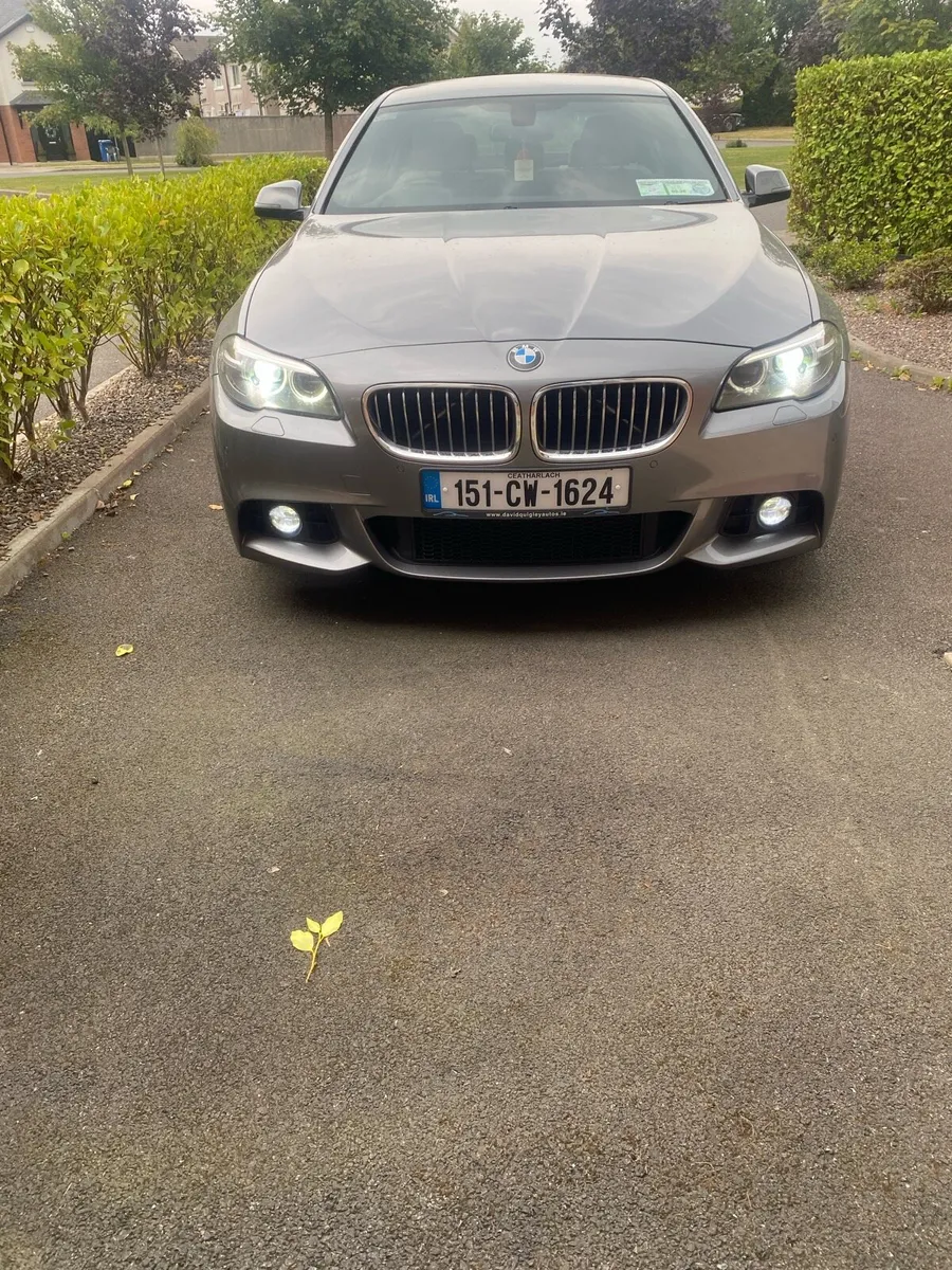 BMW 520d - Image 1
