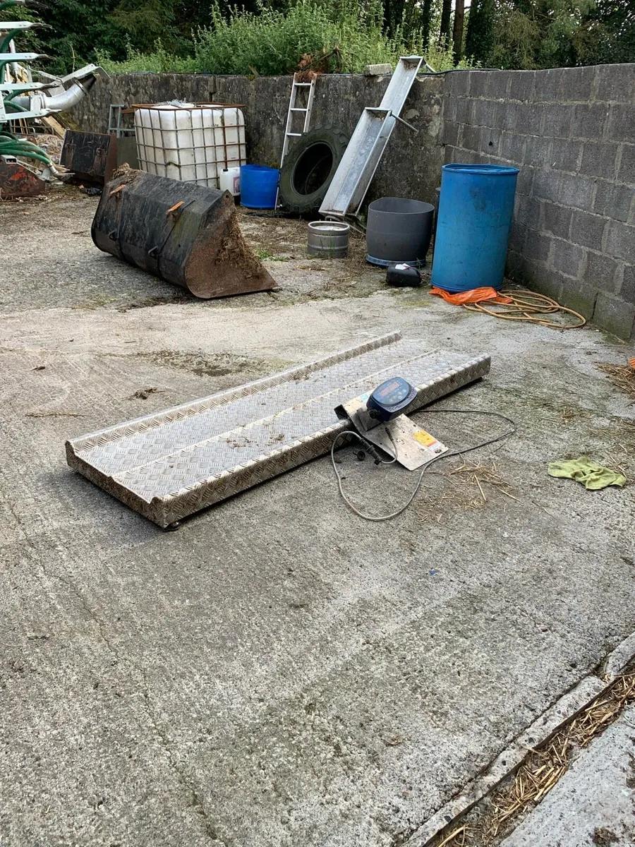 Cattle weighing scales - Image 3