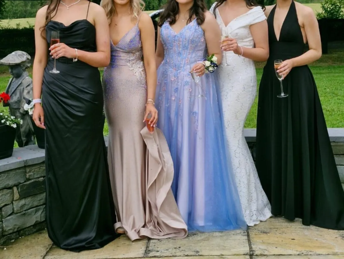 Debs Dress - Image 3