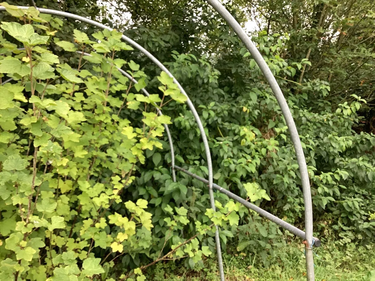 Polytunnel frame 3 metres by 2 metres - Image 3