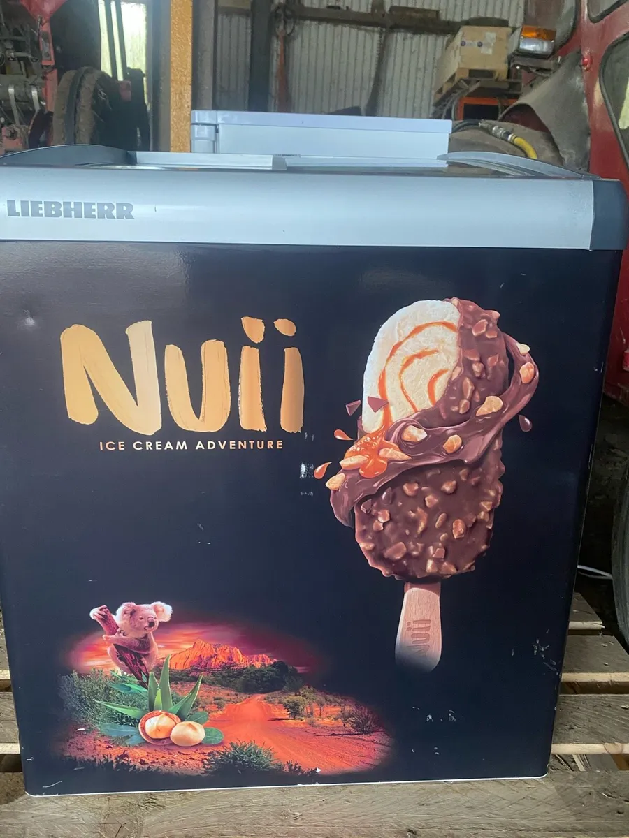 Lever ice cream freezer - Image 4