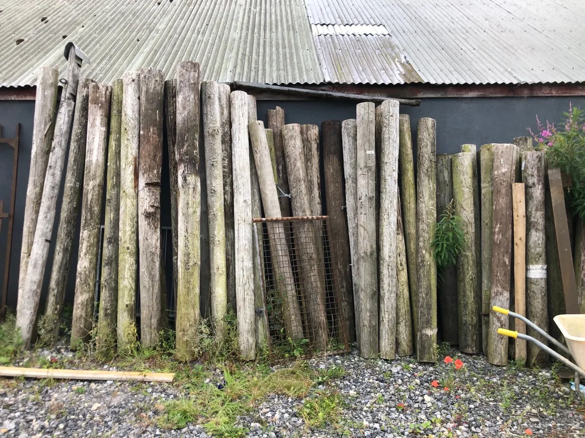 Fencing - Image 3