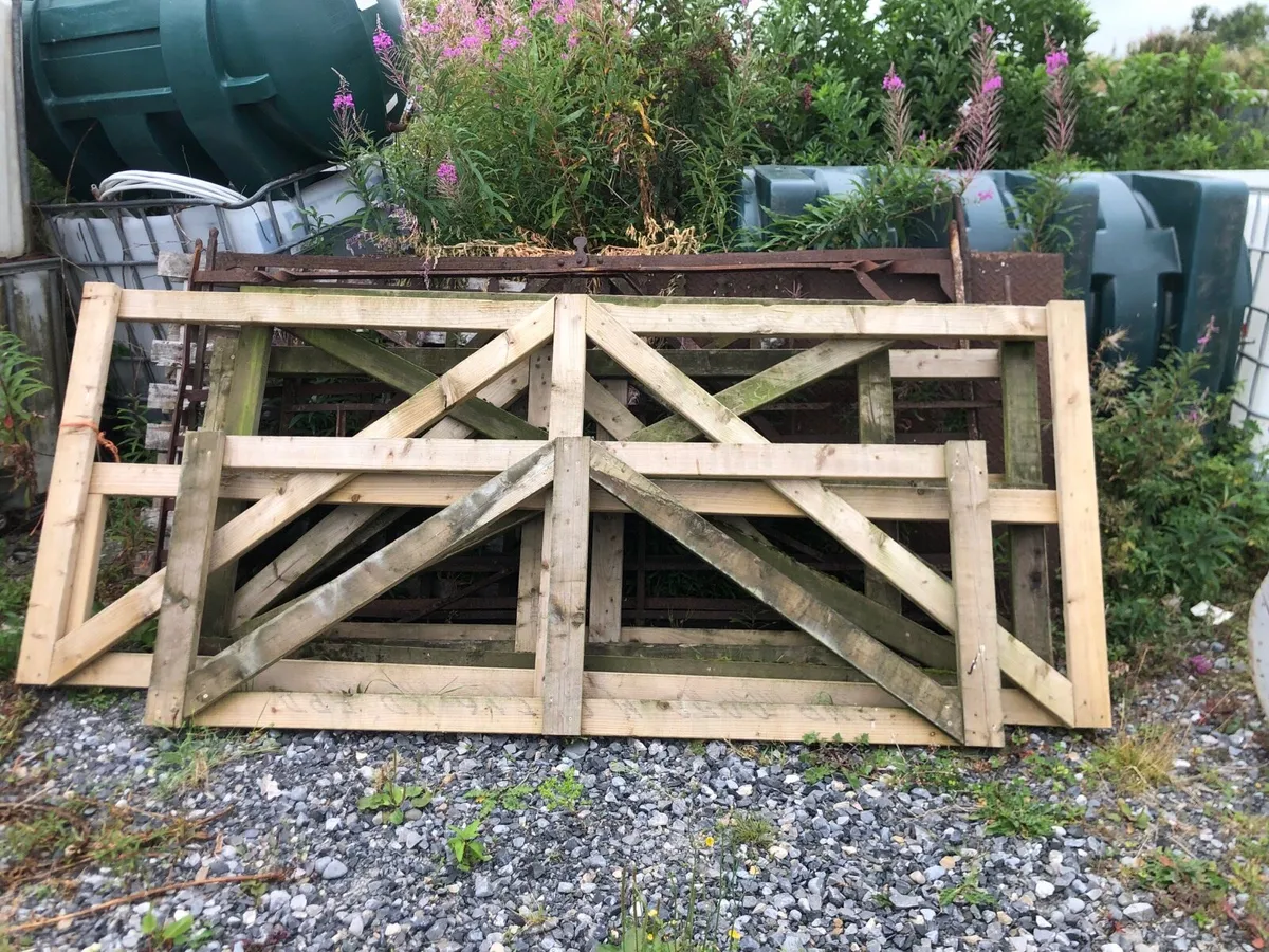 Fencing - Image 4