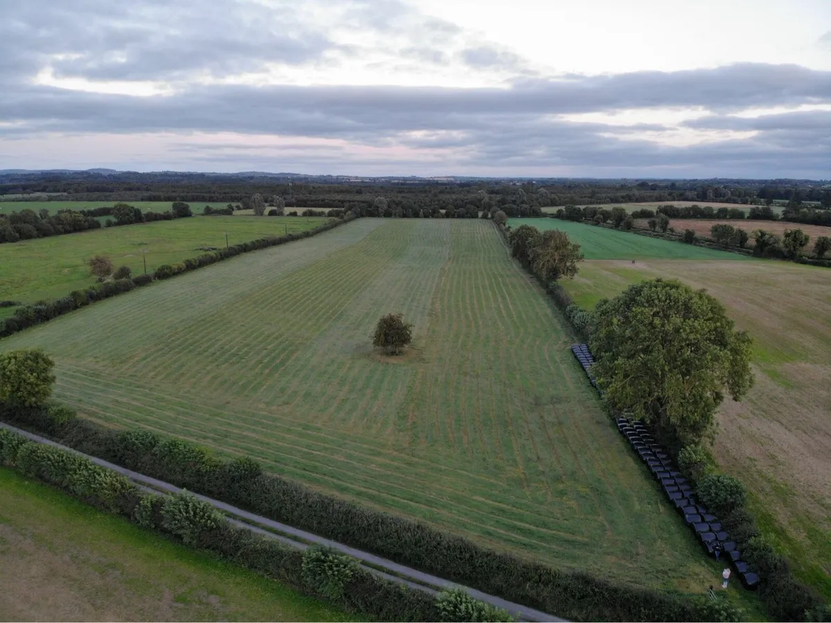 Meadow for sale