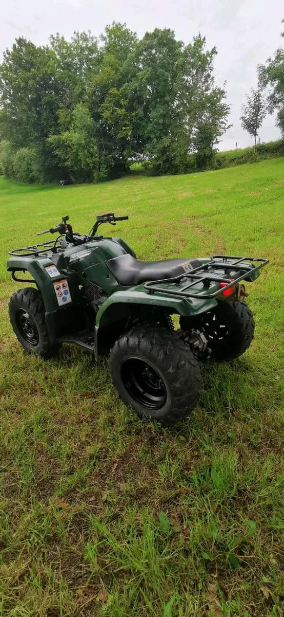 Yamaha grizzly 350 - Image 4