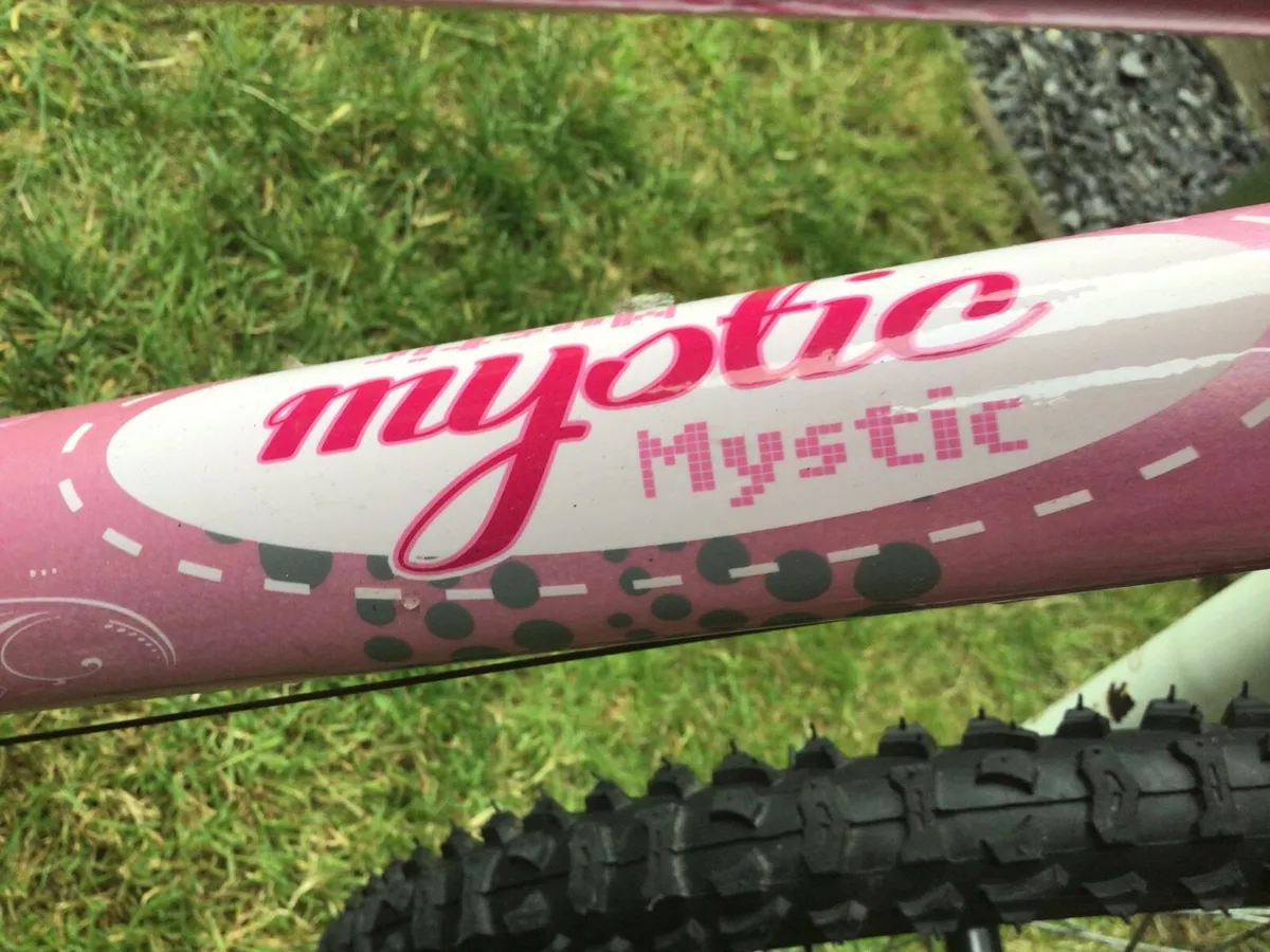 Mystic 20” - PINK  BIKE - Image 2