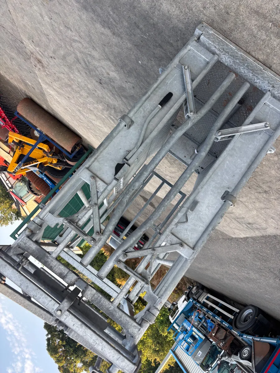 IAE Galvanised Cattle Crush - Image 4