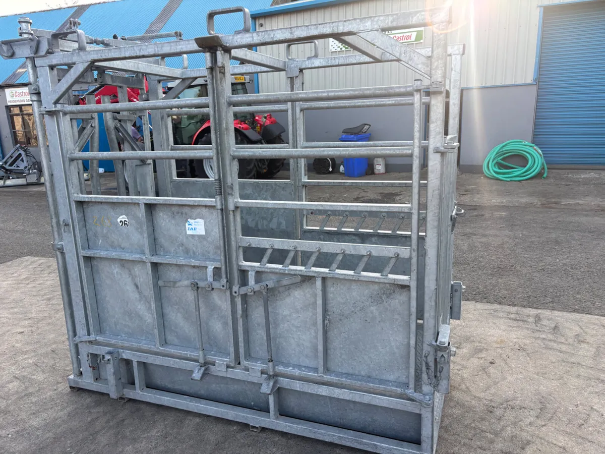 IAE Galvanised Cattle Crush - Image 3