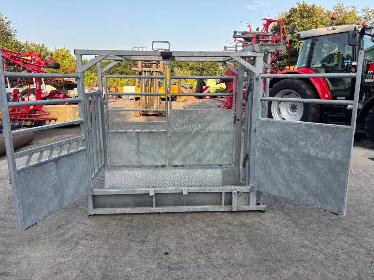IAE Galvanised Cattle Crush - Image 2