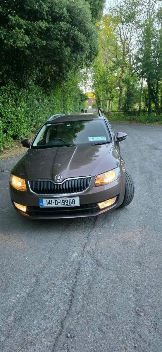 Skoda Octavia 4x4 - Image 3