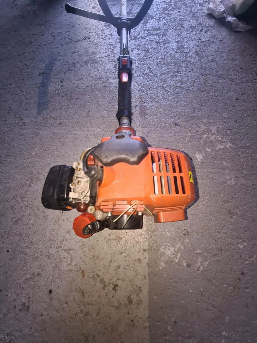 Eco strimmer - Image 2