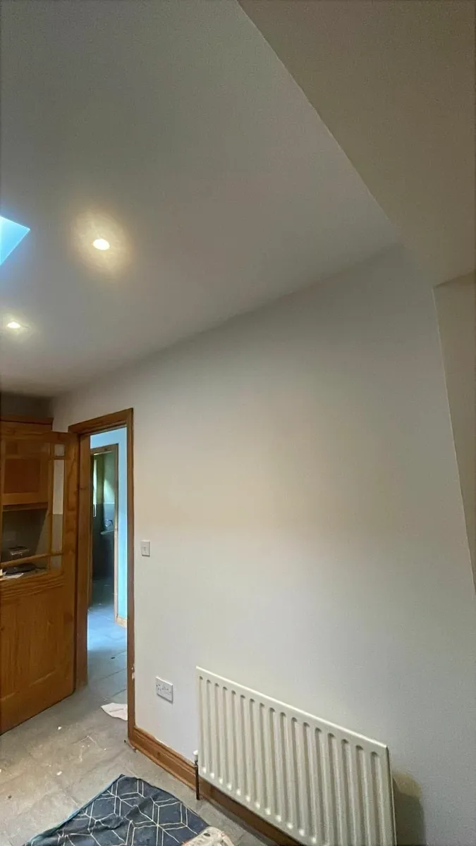 PROFESSIONAL PAINTER - Image 3