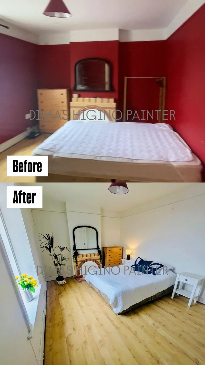 PROFESSIONAL PAINTER - Image 2