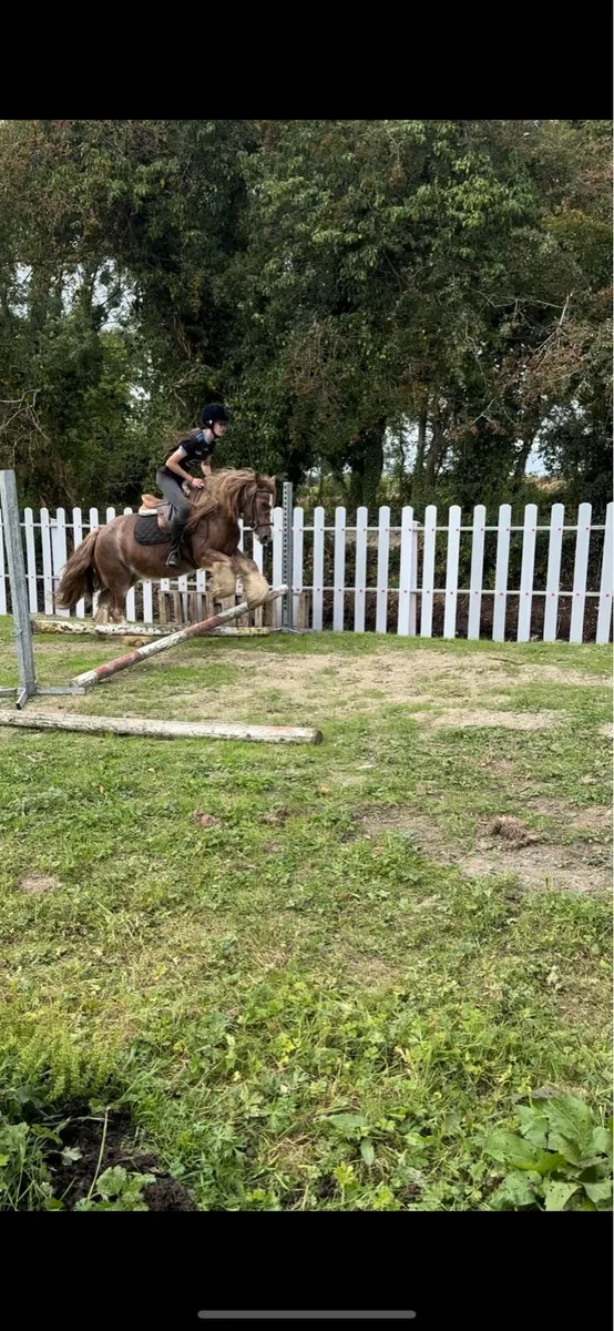 Pony - Image 3
