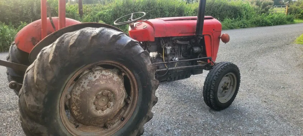 1967 MF 35 with 165 engine fitted - Image 2