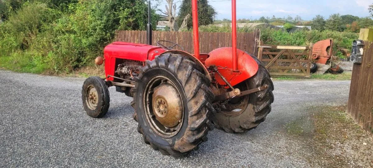 1967 MF 35 with 165 engine fitted - Image 4