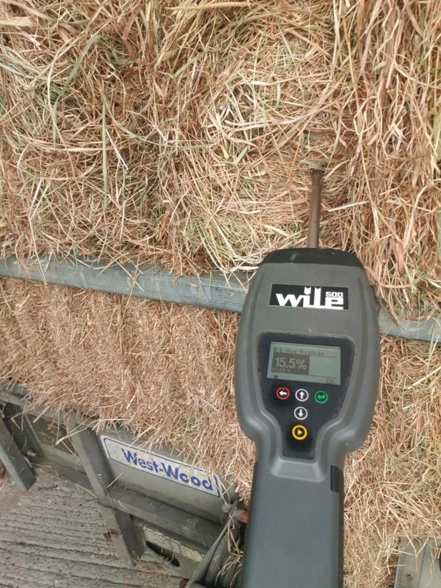 Square bales of hay - Image 1