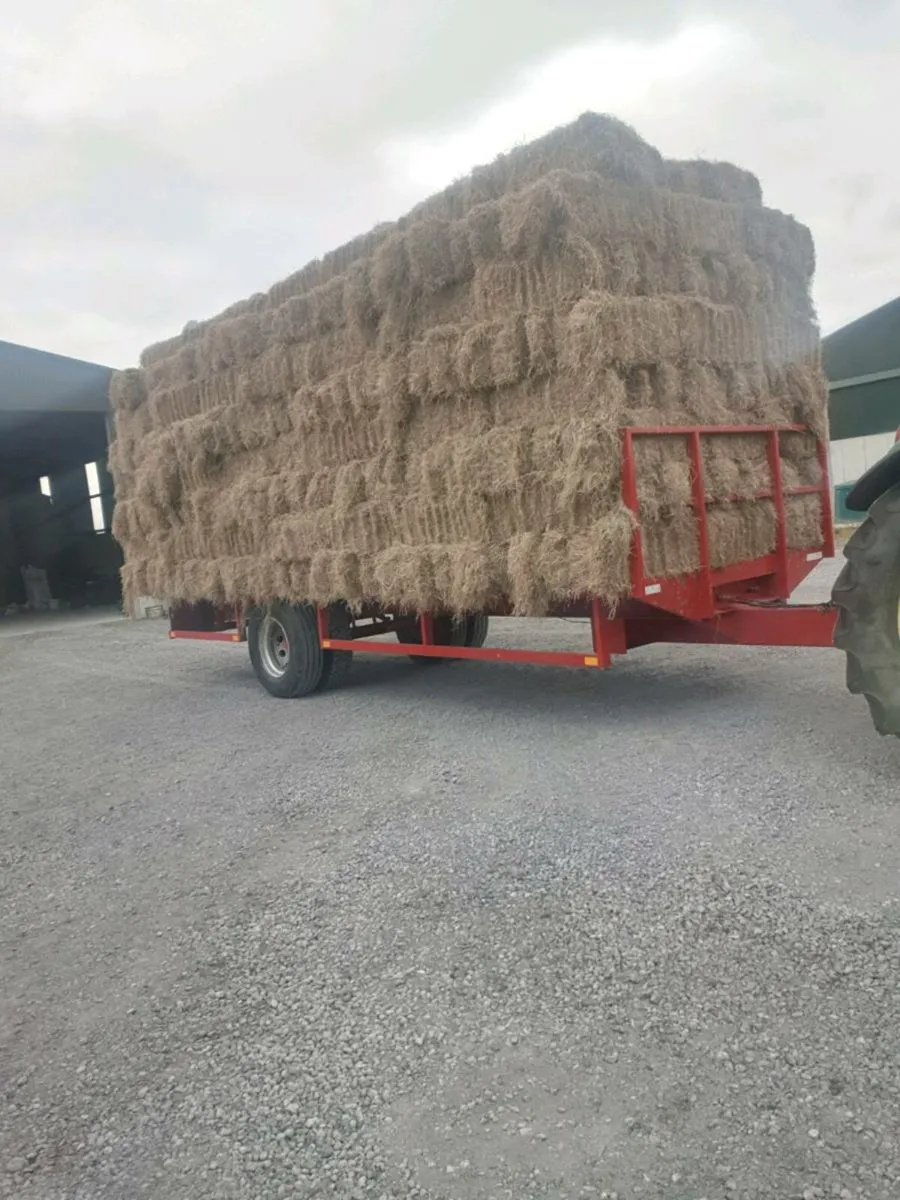 Square bales of hay - Image 3