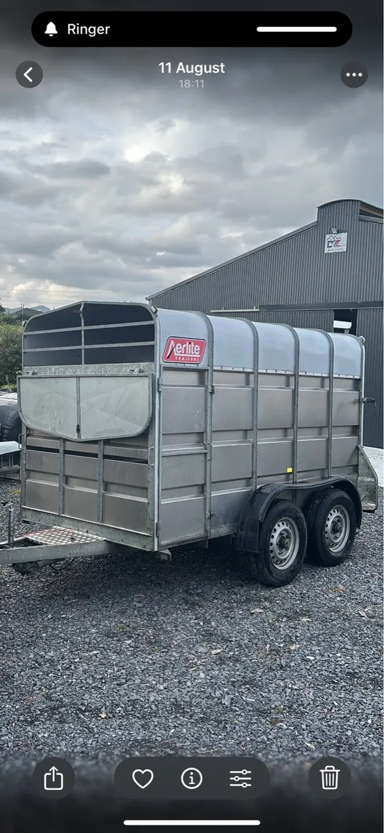 Aerlite 10 x 6 Cattle / Sheep Trailer - Image 1