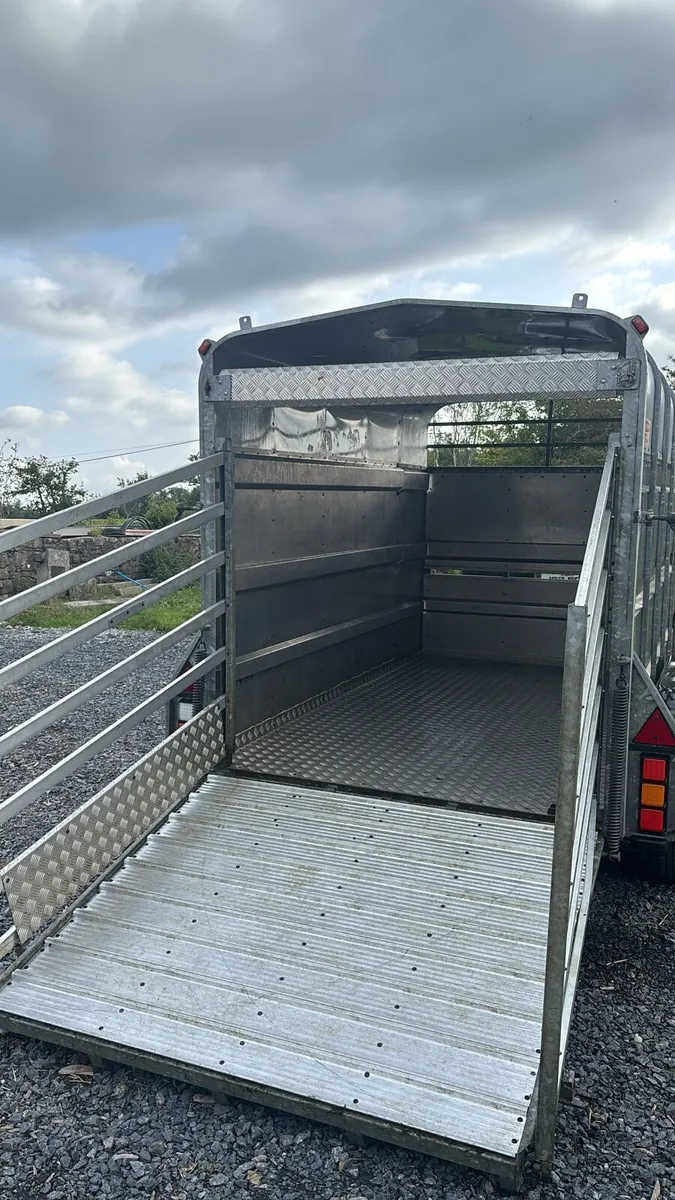Aerlite 10 x 6 Cattle / Sheep Trailer - Image 4