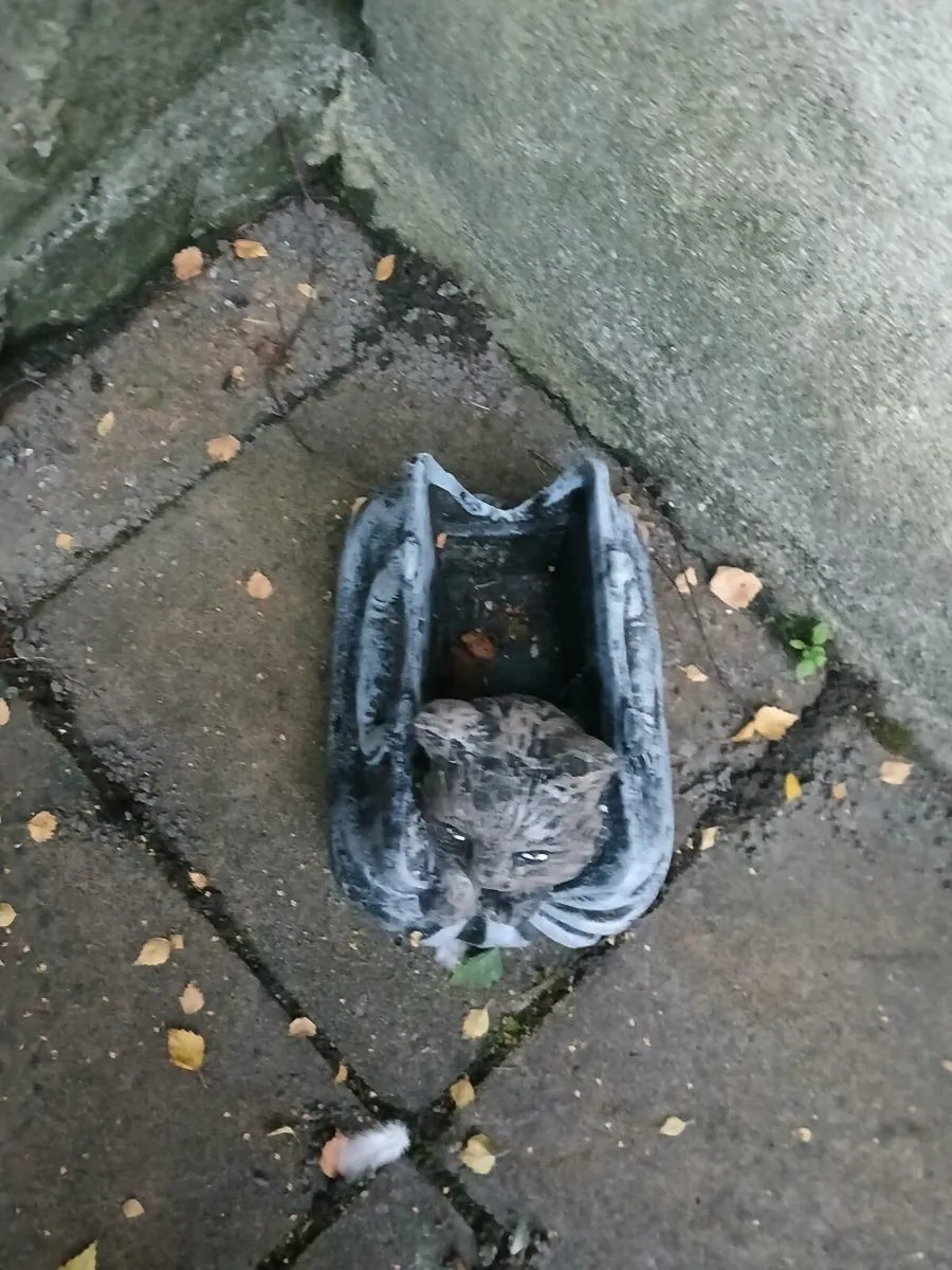 Garden ornament - Image 2